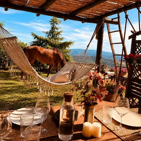 Cascina Puvie بيت للعطل *