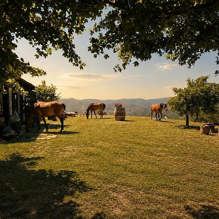 Cascina Puvie بيت للعطل *
