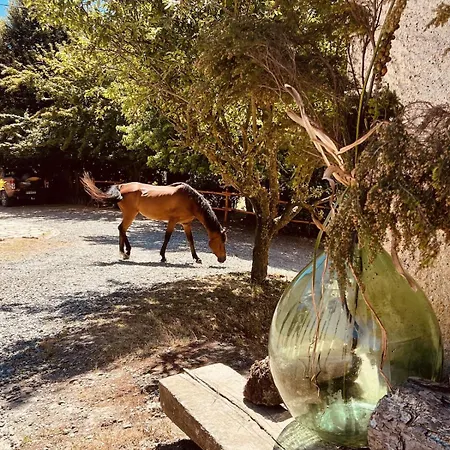 Cascina Puvie بيت للعطل Rossiglione